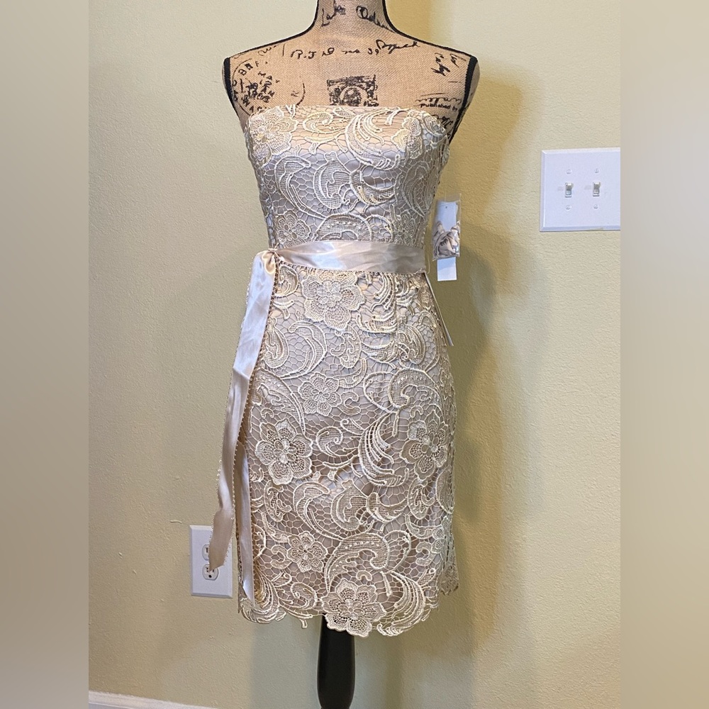 NWT Adrianna Papell Champagne Gold Sheath Dress w/Lace Overlay